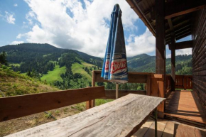 Ferienhaus Almhütte Gut Mühlreit